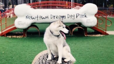 Dog Parks