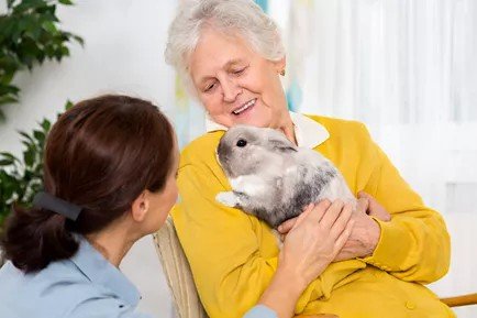 Therapy Animals