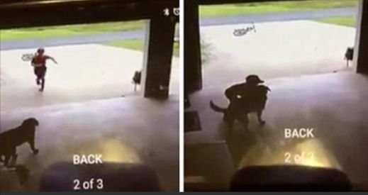 Boy Sneaks Into Neighbor’s Garage Daily, Hugs Dog And Runs Away