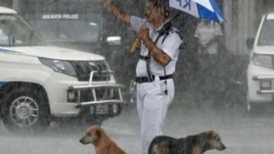 Cop’s Seen Keeping Stray Dogs Dry With His Umbrella During Heavy Rain