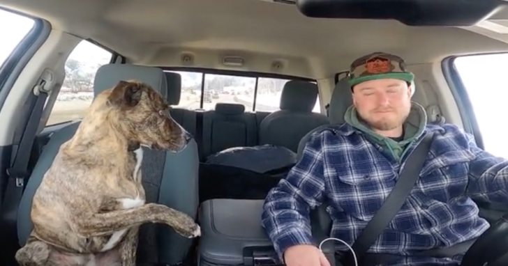 Rescue Dog Insists To Hold Hands While In The Vehicle As She Gets Anxious