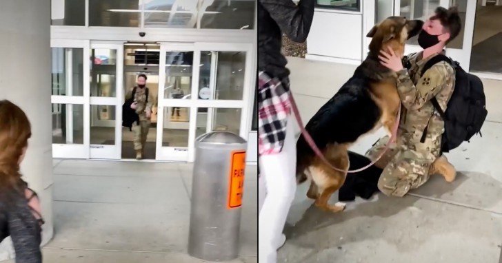 Soldier Comes Back From Long Deployment To Find Her Dog Outside The Airport
